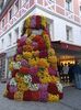 Img.2022.10.30