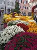 Img.2022.10.30
