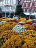 Img.2022.10.30