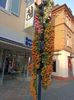 Img.2022.10.30