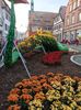 Img.2022.10.30