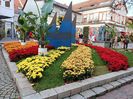 Img.2022.10.30