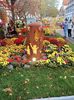 Img.2022.10.30