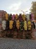 Img.2022.10.30