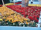 Img.2022.10.30
