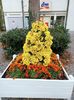 Img.2022.10.30