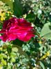 IMG20221031135627