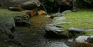 115169704_DKMKNTH-1