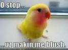 17734612_TGMHFDTOM