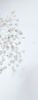 114896138_FNQMWRI-1
