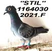 2021.1164030 MATATA