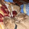 IMG-20220322-WA0002
