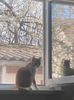 IMG-20220329-WA0006
