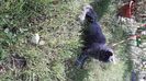 IMG-20221014-WA0007