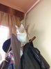 IMG-20220312-WA0003