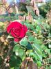 IMG20221103090446