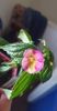 received_876607893498762