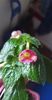 received_1197702707773784