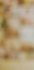 52016830_BXGDOSQ2-1