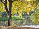 w-Peisaj de toamna - Autumn landscape 