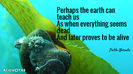 Quotation-Pablo-Neruda-Perhaps-the-earth-can-teach-us-As-when-everything-seems-71-7-0748