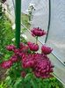 IMG20221105103236