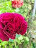 IMG20221105094356