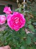 IMG20221105094303