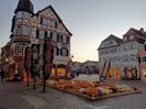 Img.2021.11.08