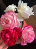 9C6079CC-A46C-400F-B186-8EDB3A3EC715