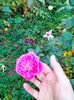 IMG20221110165047