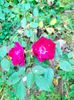 IMG20221110165039