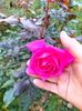 IMG20221110164951