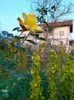 IMG20221110165140