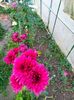 IMG20221110164738