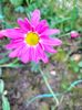 IMG20221110164711