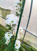 IMG20221110164527