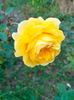 IMG20221110164013