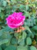 IMG20221110163959