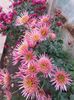received_680144330157208