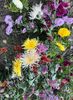D2B658AC-C044-449D-B225-9BC22F313724
