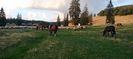 IMG20220818195404