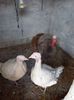 IMG-20221128-WA0020