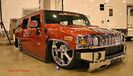 100855470_ROIBRVS3-1