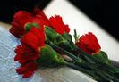 89521131_ZDMGMUC3-1