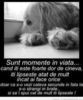 87416559_XKQJSJZ-1