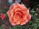 05B8E1E6-4B18-43DB-B121-95827BD65872