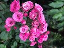 B15E806B-C138-41D8-96E2-9B24660200AB