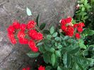 48CEFBDF-48C3-4DA7-95A1-46ED8A10729A
