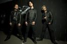 Green-Day-28